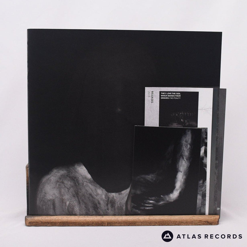 Fawn Limbs - Darwin Falls - LP Vinyl Record