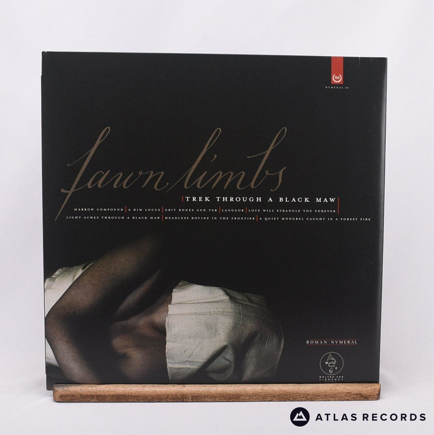 Fawn Limbs - Trek Through A Black Maw - Clear LP Vinyl Record - NM/NM