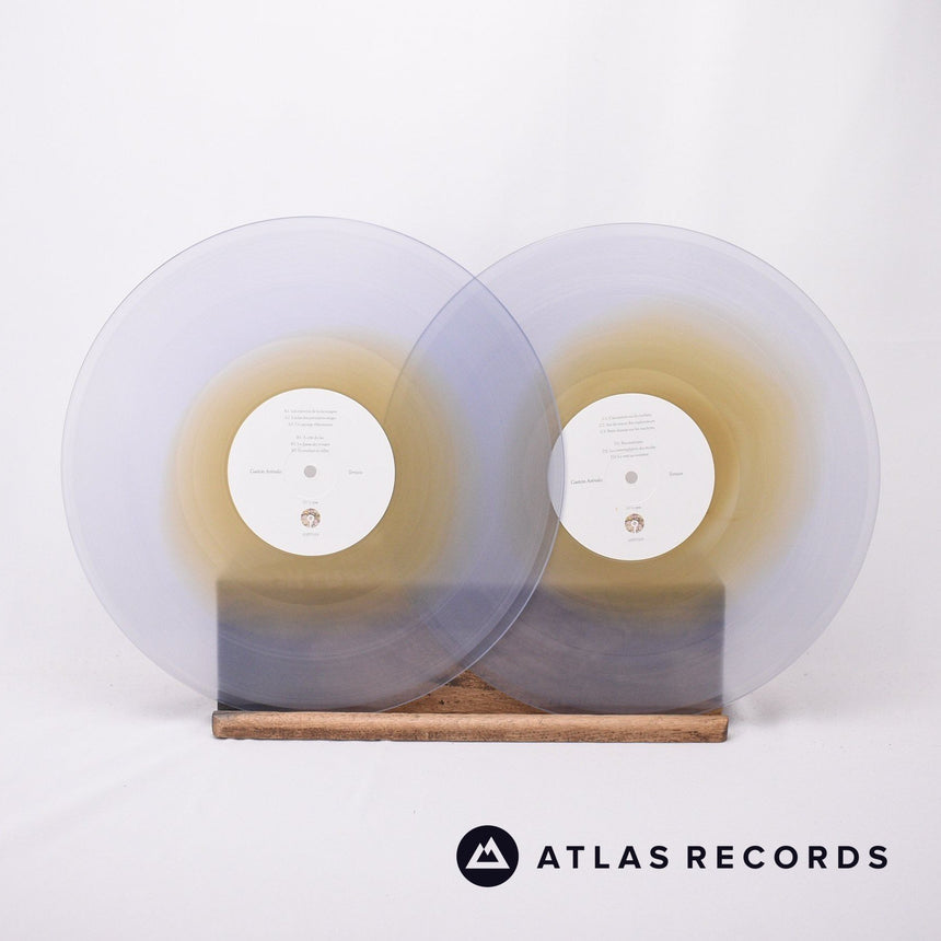 Gastón Arévalo - Terrain - A-1 B-1 C-1 D-1 2 x LP Vinyl Record - NM/NM