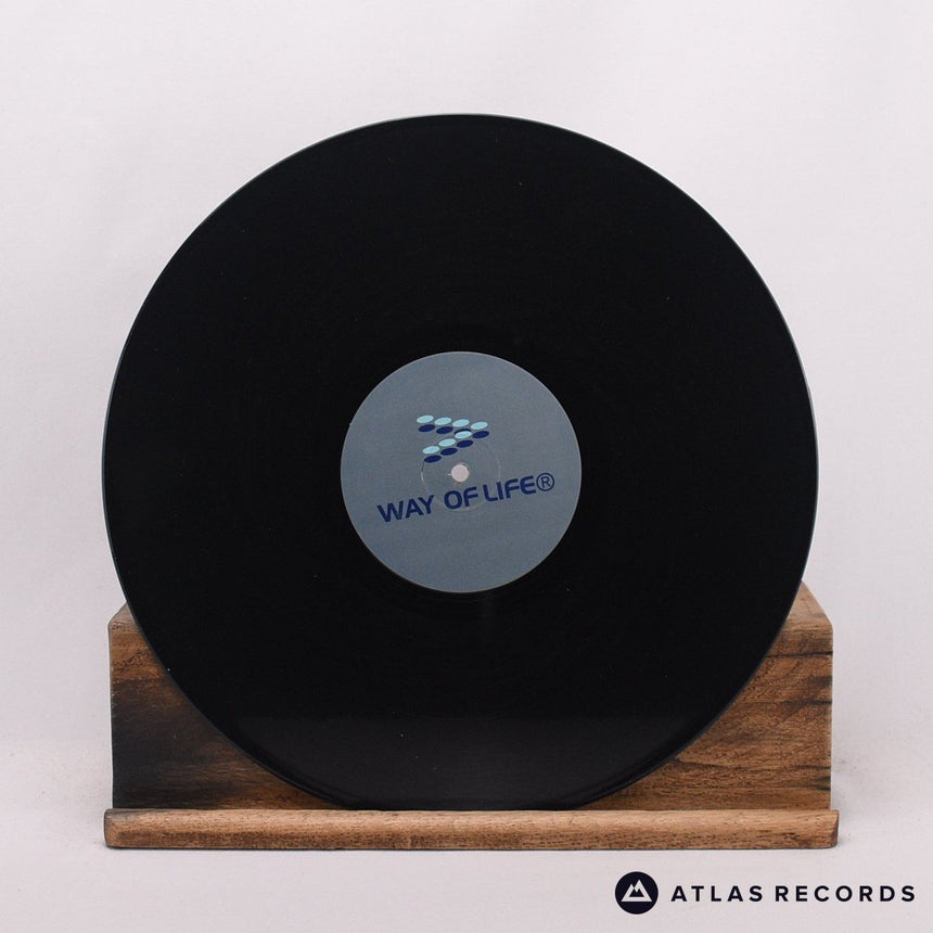Gat Decor - Passion - 12" Vinyl Record - VG+/VG+