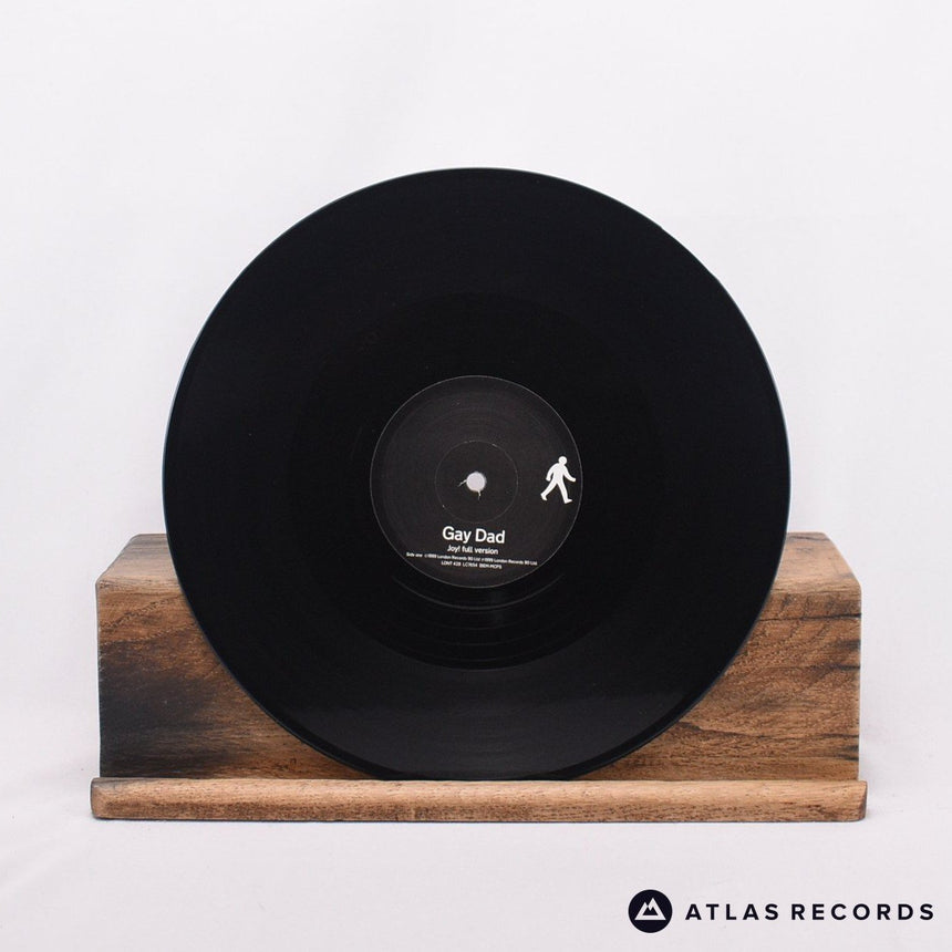 Gay Dad - Joy! - 10" Vinyl Record - EX/EX