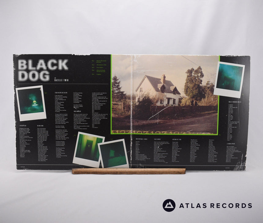 Gazelle Twin - Black Dog - Green/Yellow Insert 1/A 2/A LP Vinyl Record - NM/EX