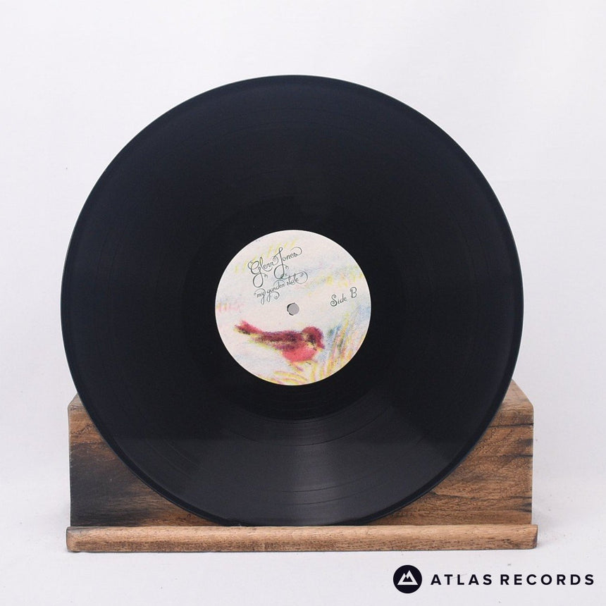 Glenn Jones - My Garden State - Us LP Vinyl Record - NM/EX