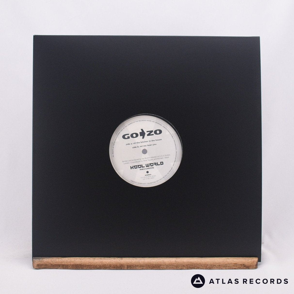 Go > Zo All The Bitches In The House 12" Vinyl Record - In Sleeve