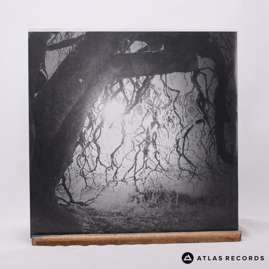 Golden Void - Golden Void - LP Vinyl Record - NM/EX