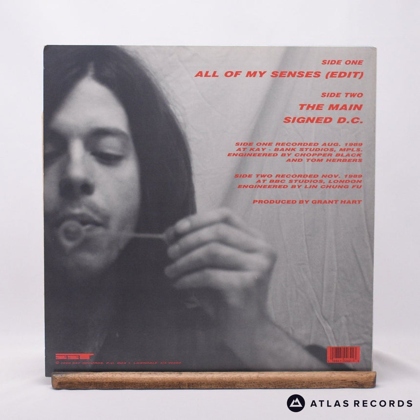 Grant Hart - All Of My Senses - 12" Vinyl Record - EX/EX