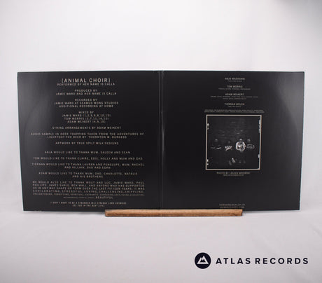 Her Name is Calla - [Animal Choir] - 180G Gold 2 x LP Vinyl Record - EX/NM