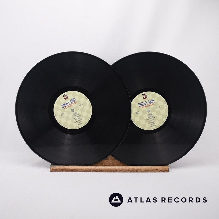 Horace Andy - Ain't No Sunshine - 2 x LP Vinyl Record - NM/NM