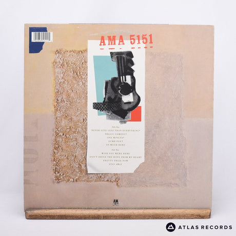 Immaculate Fools - Dumb Poet - LP Vinyl Record - VG+/EX