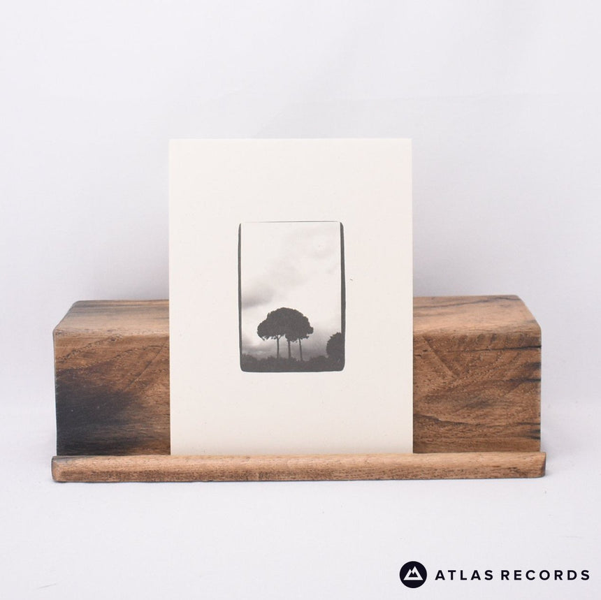 Iron And Wine - The Creek Drank The Cradle - Lyric Sheet LP Vinyl Record - NM/EX