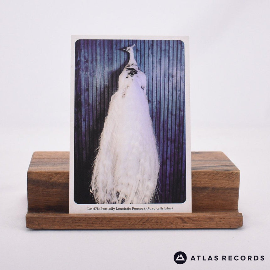 Jack White - Love Interruption - Fold-Out Sleeve Insert 7" Vinyl Record - NM/EX