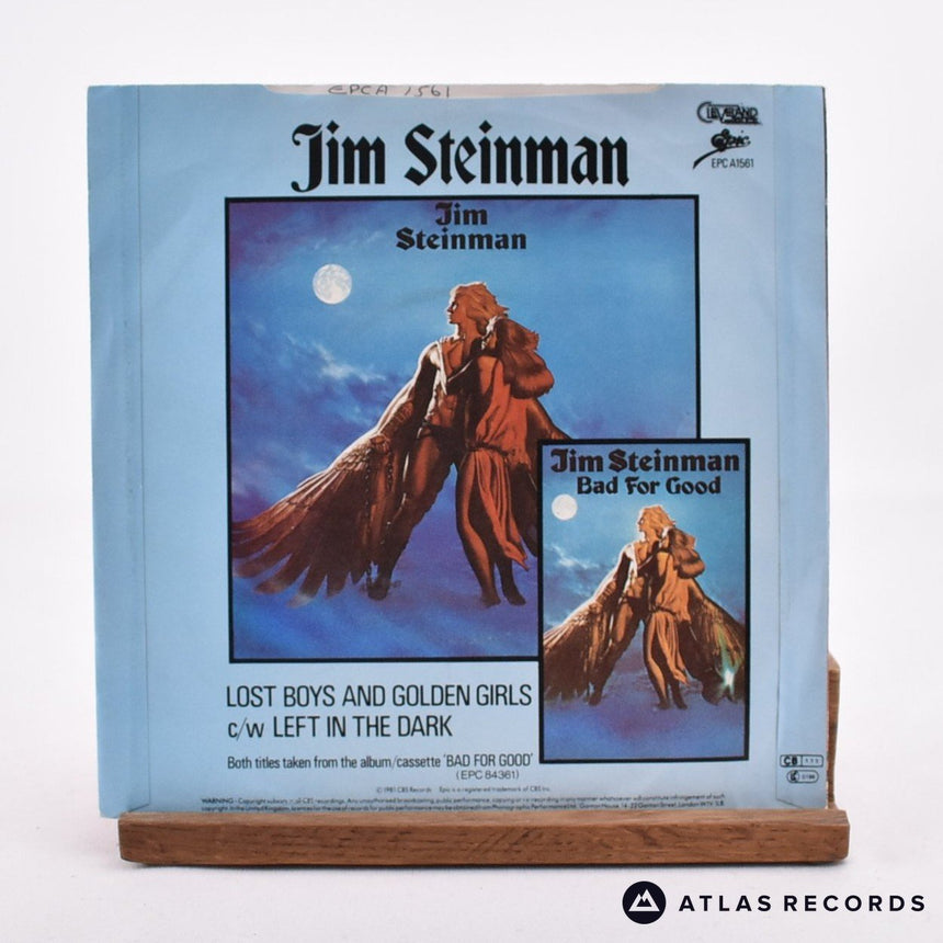 Jim Steinman - Lost Boys And Golden Girls - 7" Vinyl Record - VG+/VG+