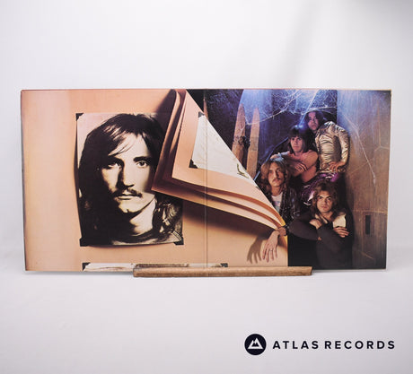 Joe Walsh - The Smoker You Drink, The Player You Get - LP Vinyl Record - VG+/VG+