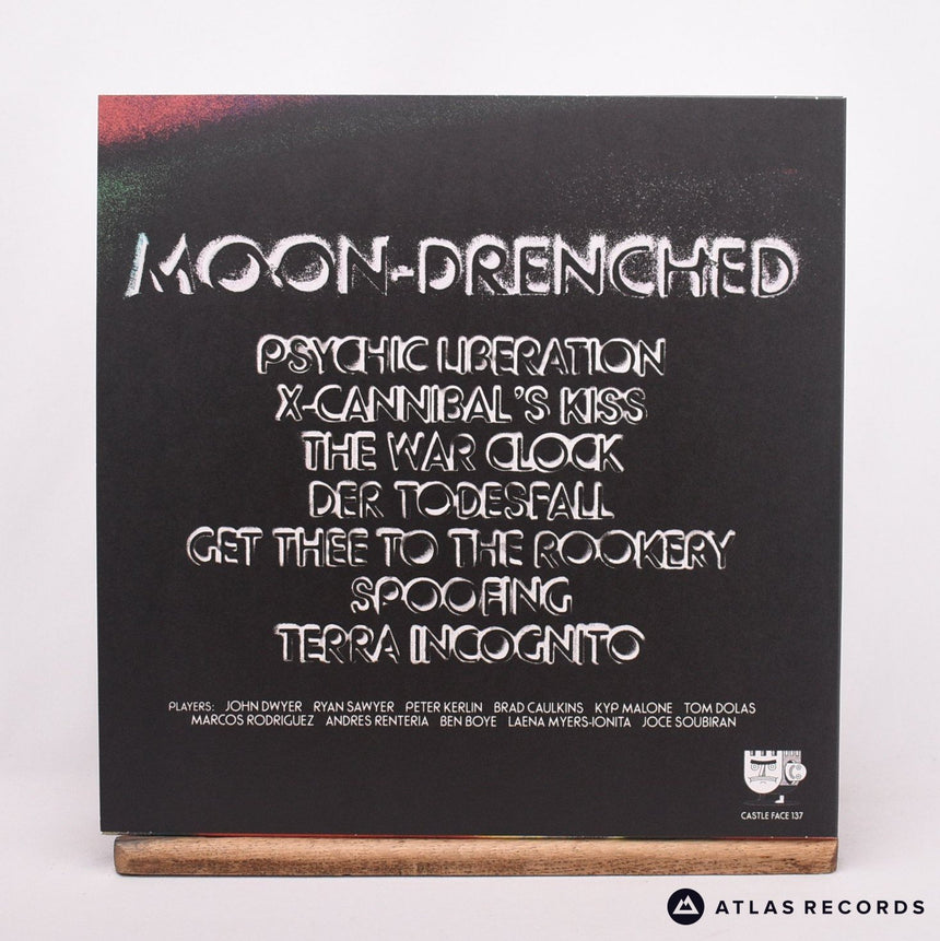 John Dwyer - Moon-Drenched - 1/A 2/A LP Vinyl Record - NM/NM