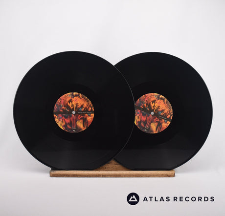 Jon Gurd - Phoenix - 2 x LP Vinyl Record - NM/EX