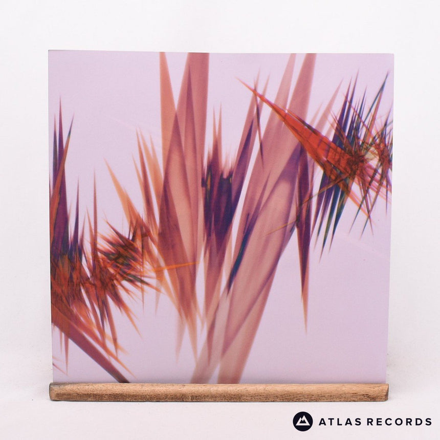 Jon Hopkins - Immunity - 180G Reissue Gatefold 2 x LP Vinyl Record - EX/NM