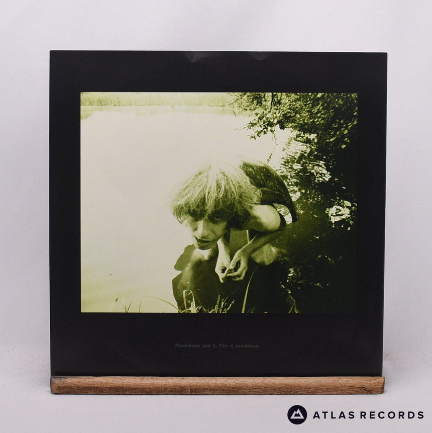 Julian Cope - Fried - Reissue LP Vinyl Record - EX/NM
