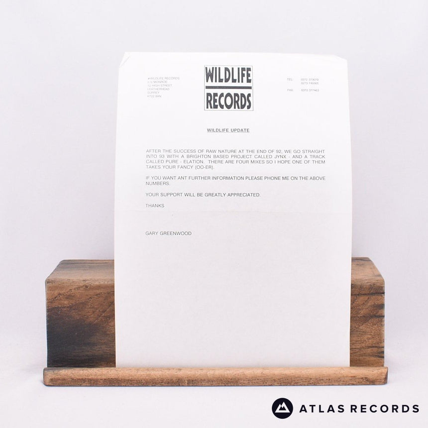 Jynx - Pure-Elation - Insert Promo A1 AA1 12" Vinyl Record -