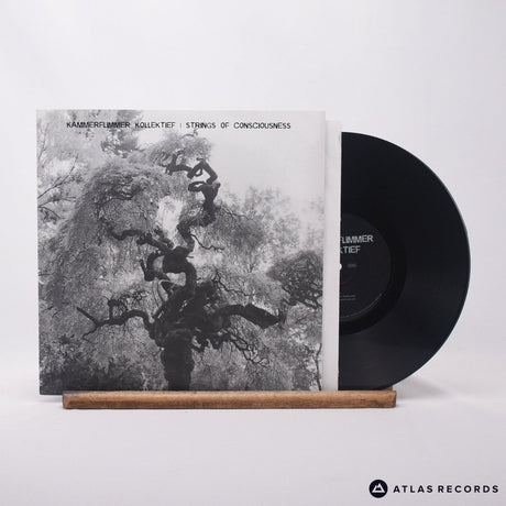 Kammerflimmer Kollektief Kammerflimmer Kollektief 10" Vinyl Record - Front Cover & Record
