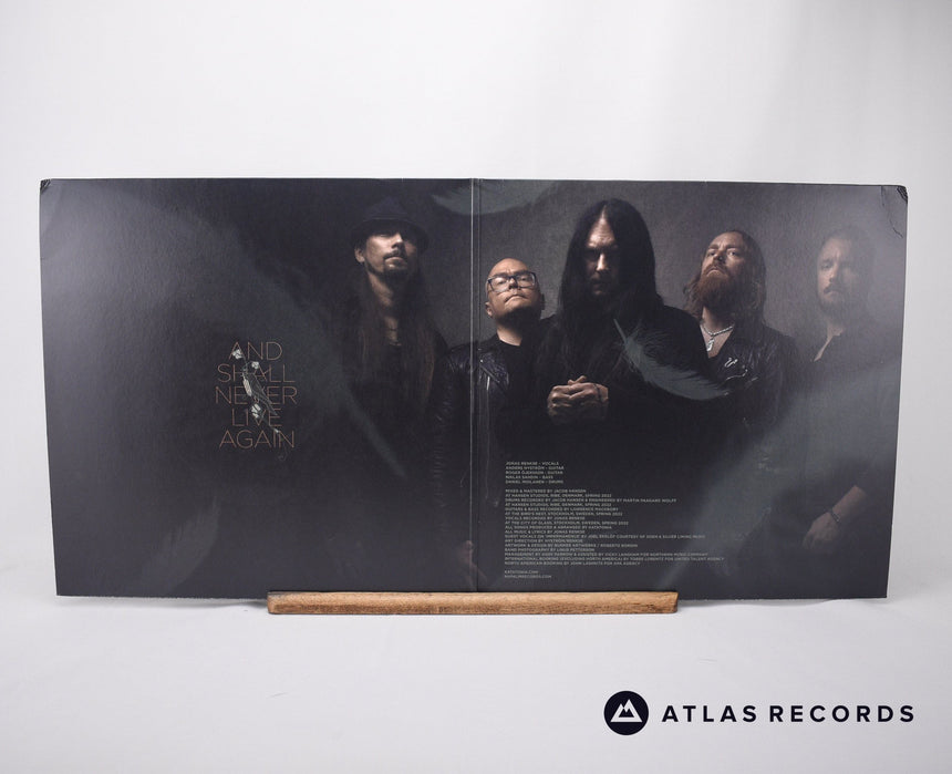 Katatonia - Sky Void Of Stars - A1 B1 2 x 12" Vinyl Record - EX/NM