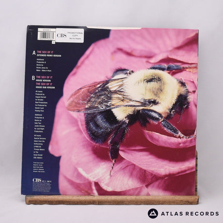 Kid Creole And The Coconuts - The Sex Of It - 12" Vinyl Record - EX/EX