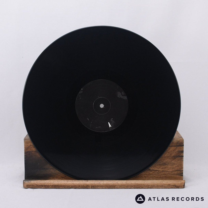 Lana Del Rey - Born To Die (The Paradise Edition) - LP Vinyl Record - NM/EX