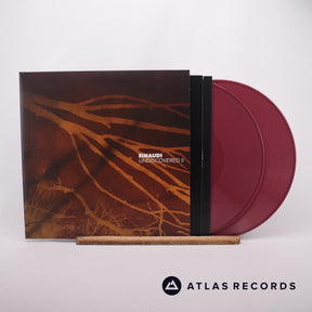 Ludovico Einaudi Undiscovered II 2 x LP Vinyl Record - Front Cover & Record