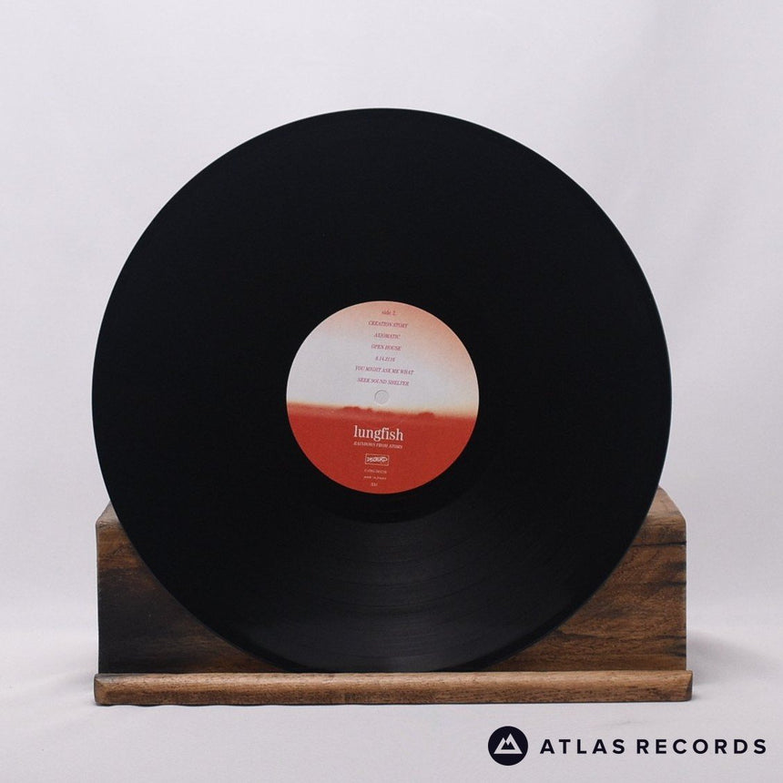 Lungfish - Rainbows From Atoms - LP Vinyl Record - NM/EX