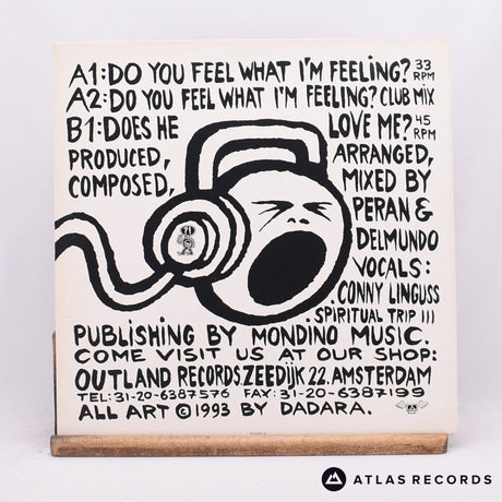 Luvspunge - Do You Feel What I'm Feeling? - 12" Vinyl Record - EX/VG+