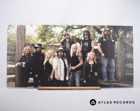 Lynyrd Skynyrd - Collected - 2 x LP Vinyl Record