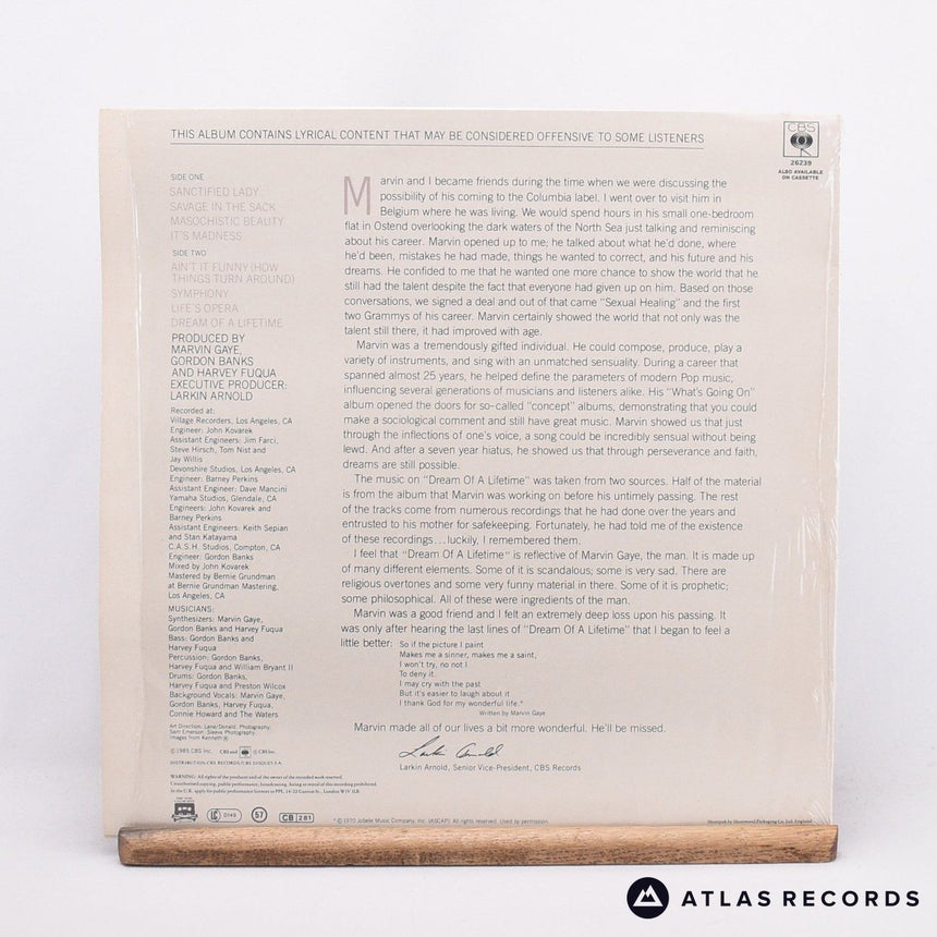 Marvin Gaye - Dream Of A Lifetime - LP Vinyl Record - EX/EX