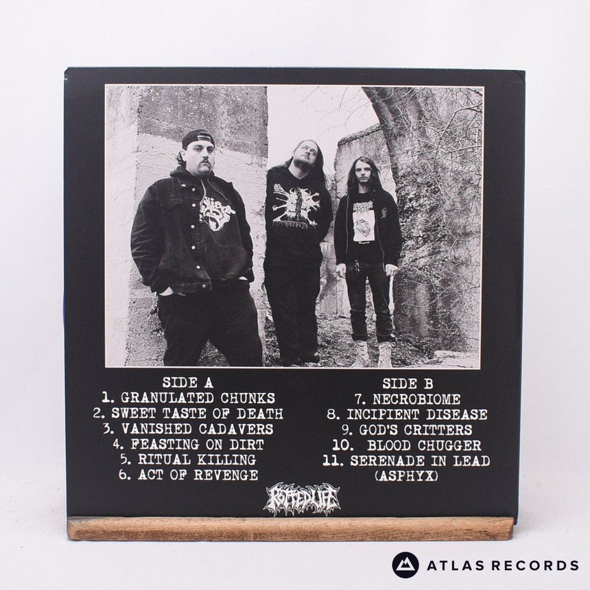 Molder - Vanished Cadavers - Purple LP Vinyl Record - NM/Mint (New)