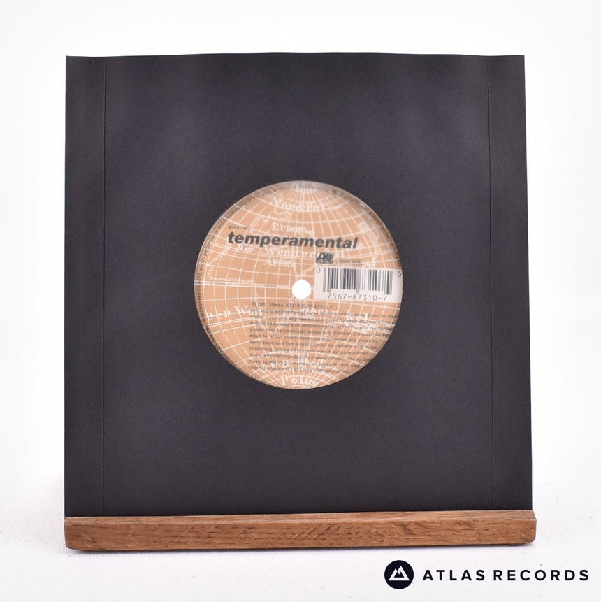 Mr. Big - Wild World - 7" Vinyl Record - EX