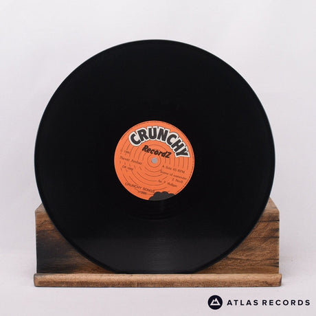 Never Amber - Scene Of Surrender - A1 B1 12" Vinyl Record - VG+/EX