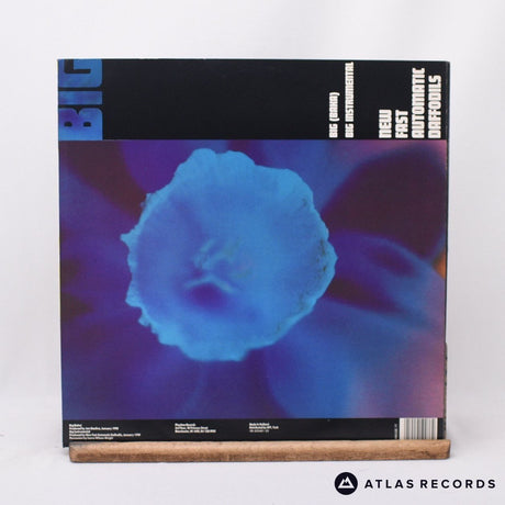 New Fast Automatic Daffodils - Big - 12" Vinyl Record - EX/EX