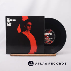 Noel Gallagher's High Flying Birds The Dying Of The Light 10" Vinyl Record - Front Cover & Record