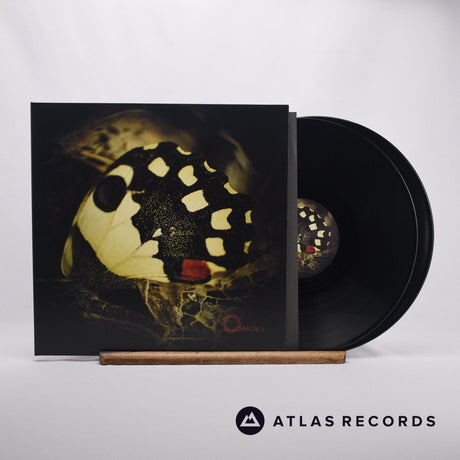 Ossicles Music For Wastelands Double LP Vinyl Record - Front Cover & Record