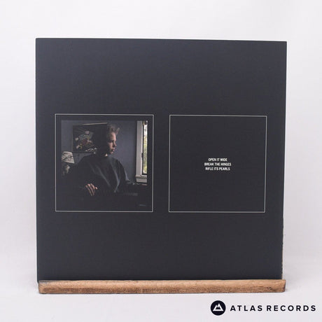 Palace - Days In The Wake - Reissue LP Vinyl Record - EX/NM