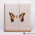 Paramore Brand New Eyes LP Vinyl Record - Front Cover & Record