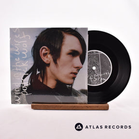 Patrick Wolf Wind In The Wires 7" Vinyl Record - Front Cover & Record
