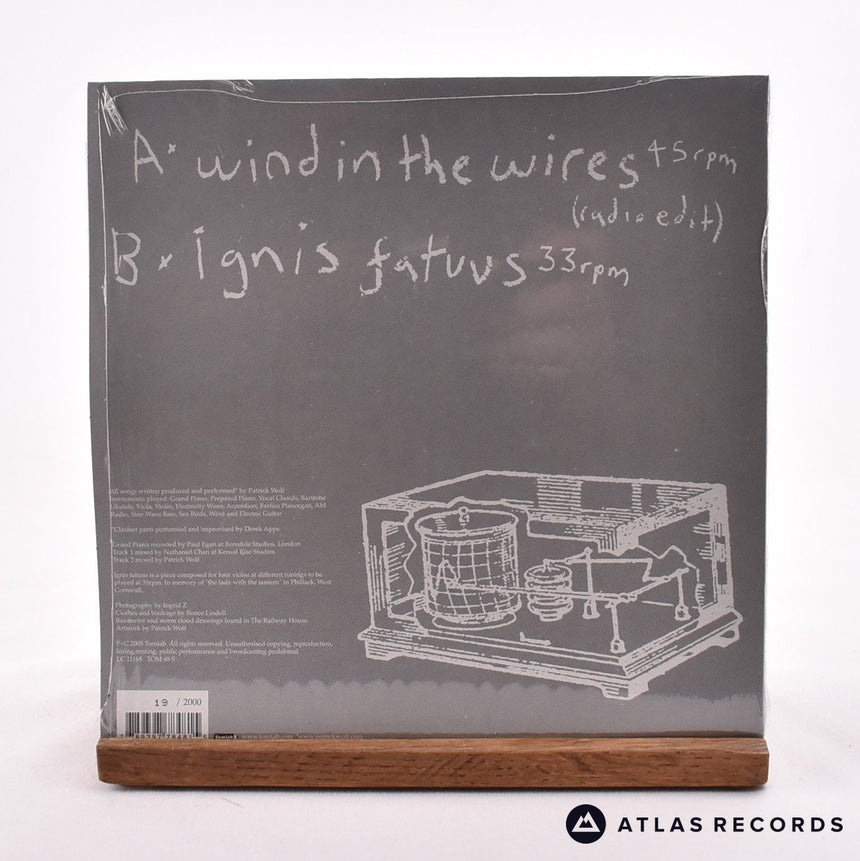 Patrick Wolf - Wind In The Wires - Limited Edition 7" Vinyl Record - NM/NM