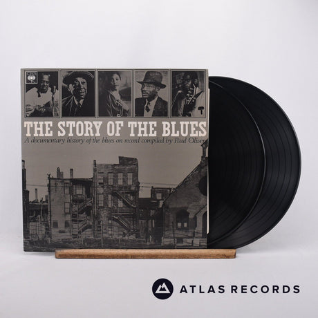 Paul Oliver The Story Of The Blues 2 x LP Vinyl Record - Front Cover & Record