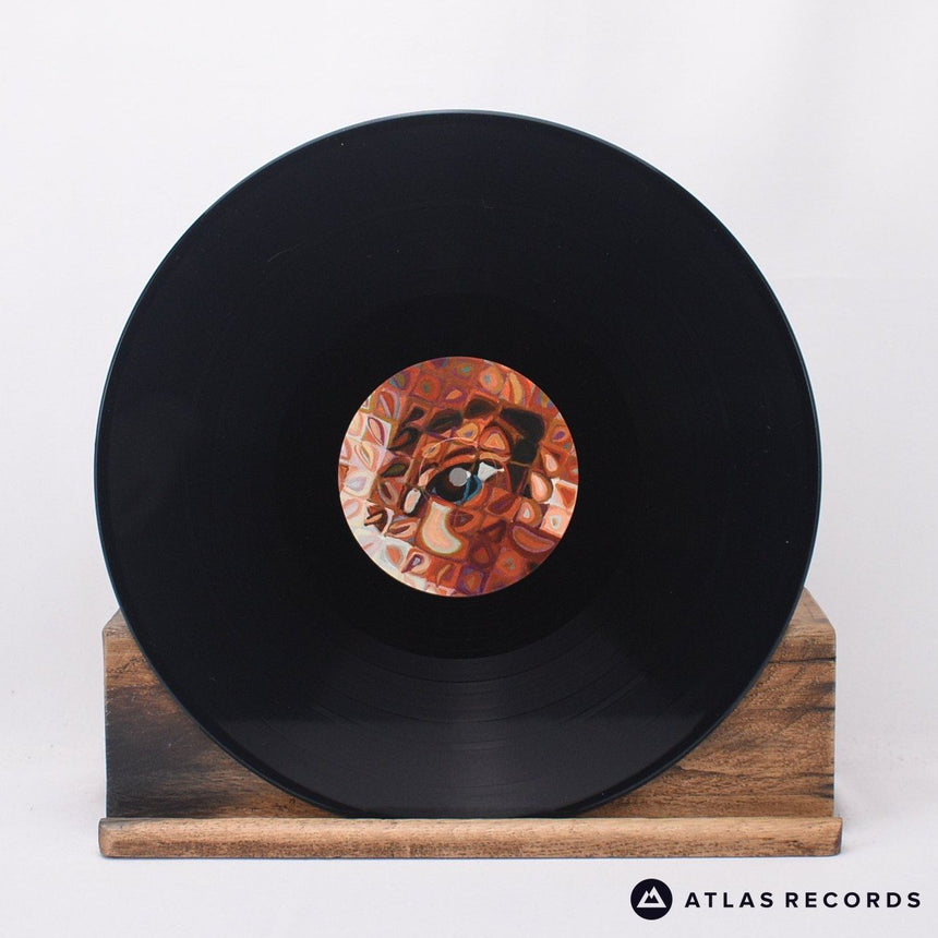 Paul Simon - Stranger To Stranger - Insert LP Vinyl Record - NM/NM