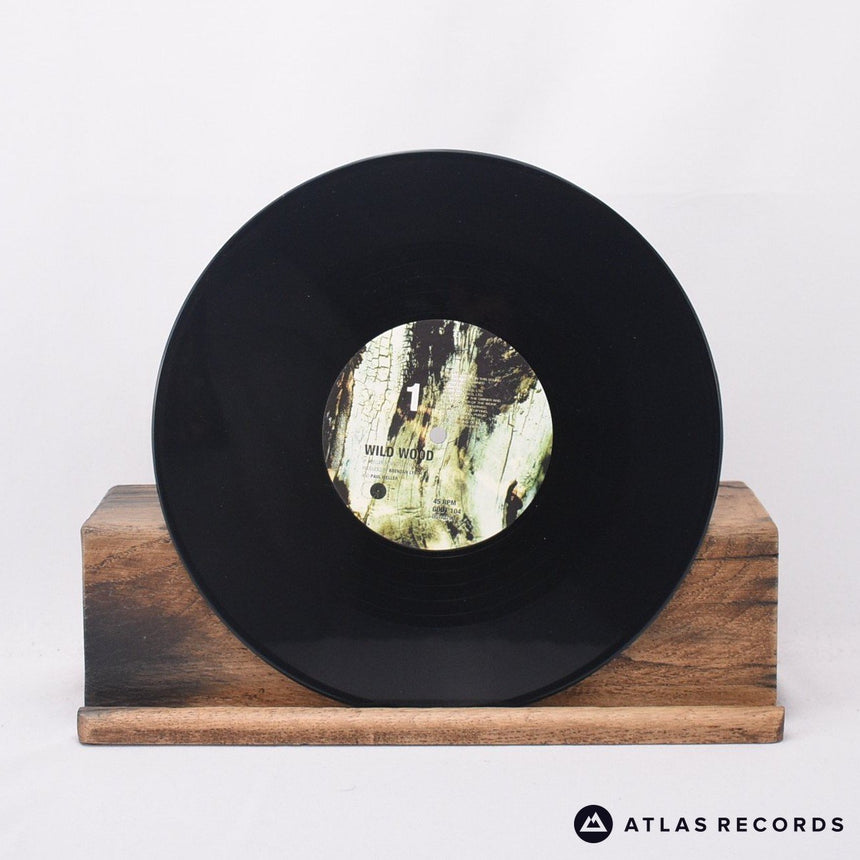 Paul Weller - Wild Wood - Limited Edition 10" Vinyl Record - EX/VG