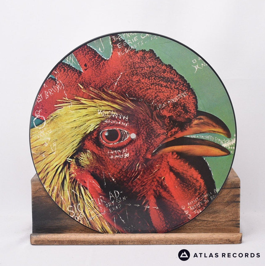 Pavement Watery, Domestic 12" Vinyl Record - In Sleeve