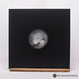 Perceptrons Perceptrons 12" Vinyl Record - In Sleeve
