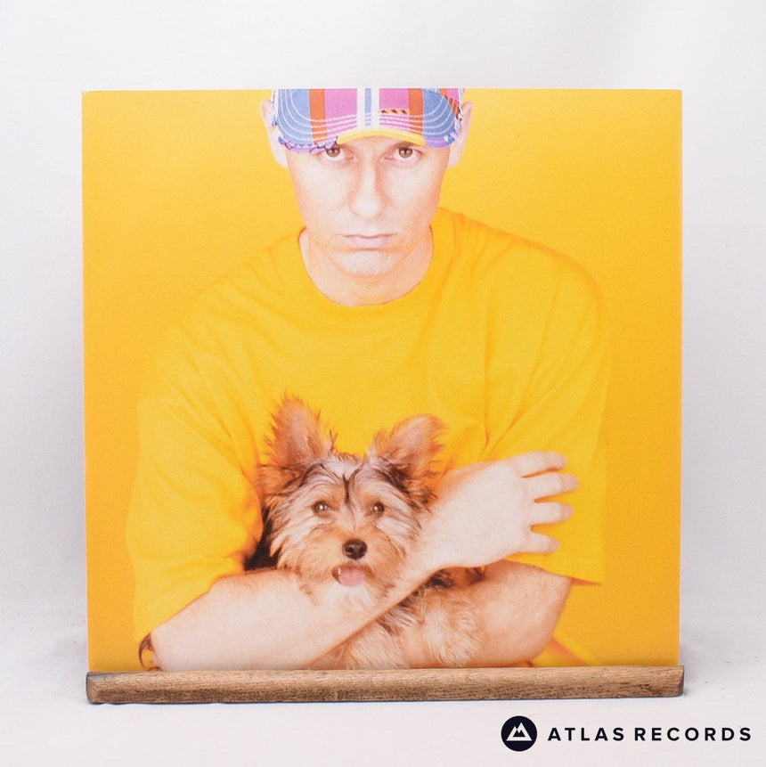 Pet Shop Boys - Introspective - LP Vinyl Record - EX/EX