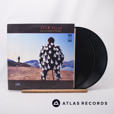 Pink Floyd Delicate Sound Of Thunder 2 x LP Vinyl Record - Front Cover & Record