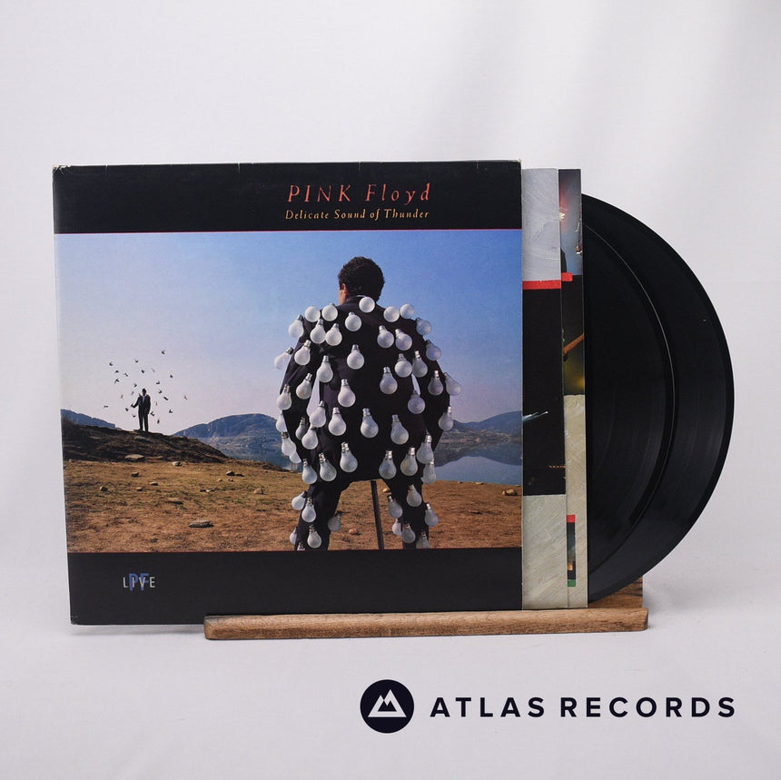 Pink Floyd Delicate Sound Of Thunder 2 x LP Vinyl Record - Front Cover & Record