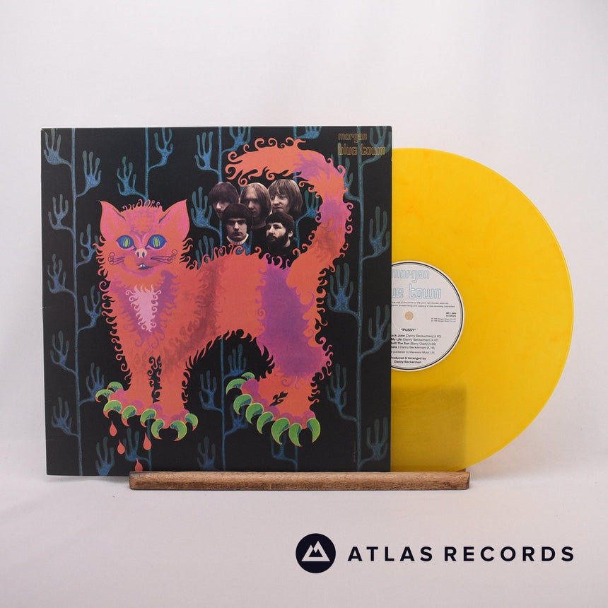 Pussy Pussy Plays LP Vinyl Record - Front Cover & Record